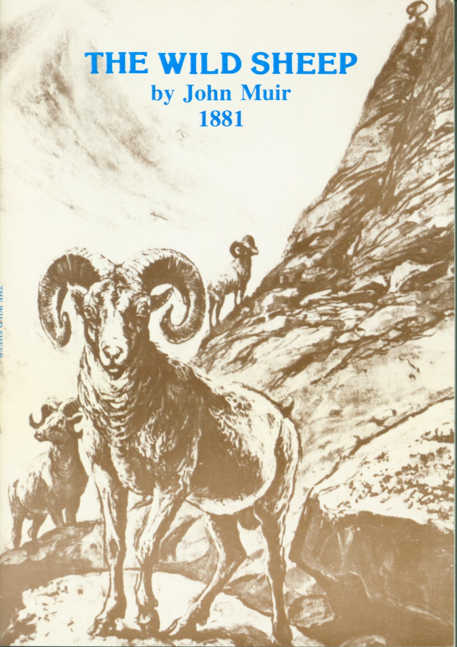 the wild sheep. vist0017 front cover